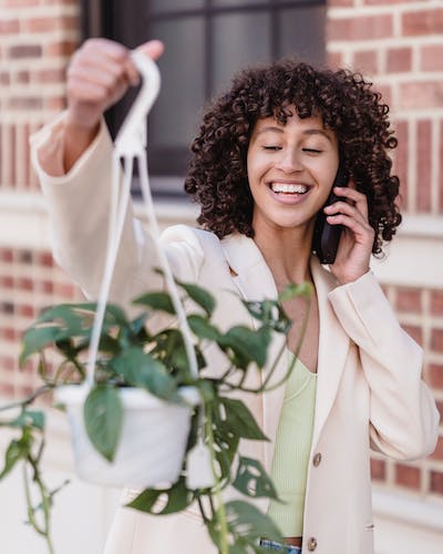 pexels-blue-bird-7243068